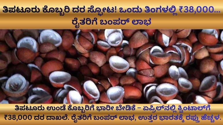 ತಿಪಟೂರು ಕೊಬ್ಬರಿ ದರ ಸಿಡಿಲಂತೆ ಏರಿಕೆ!